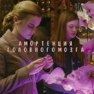 ⚡️Амортенция головного мозга⚡️