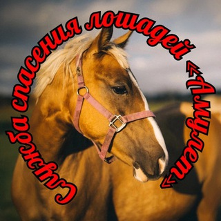 Амулет-служба спасения лошадей