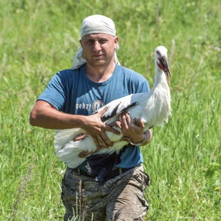 Антон Сасин🐦Птицы Амура🐦