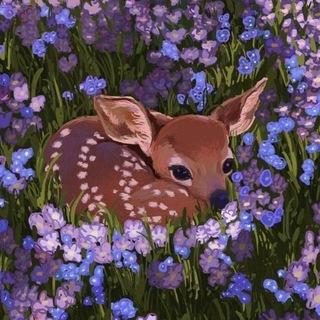 📚𝓐𝓝_𝓛𝓘 𝓫𝓸𝓸𝓴𝓼📚