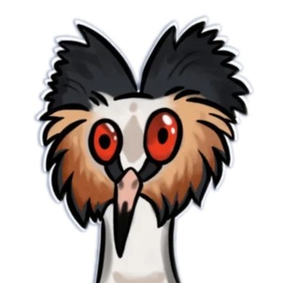 Центр ЧОМГА 🦆