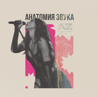 Анатомия звука