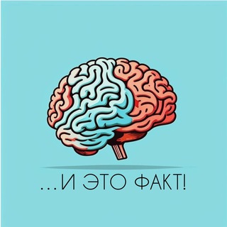 И это факт!