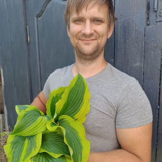 Хосты. Клематисы. Гейхеры. Астильбы. Гортензии.