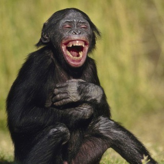 Анекдот "Идиот"