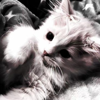 АНГЕЛИНА🩷🤘