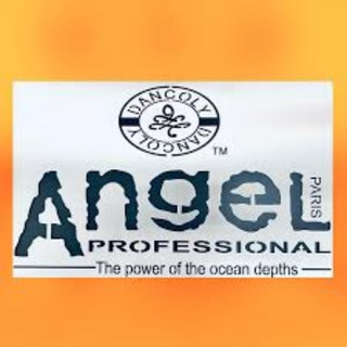 ANGEL PROFESSIONAL