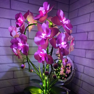 Anghelika flowers 🌺