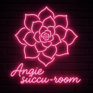 💚 Angie succu-room 💚