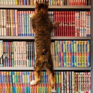 Злой читатель ☕️