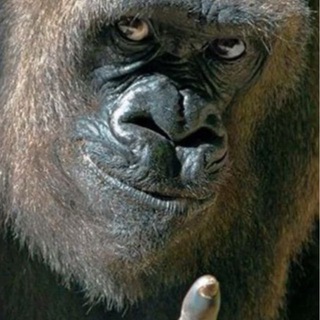 Добрые Животные