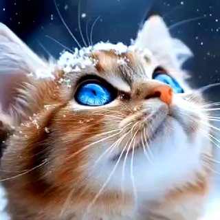 Животный Мир 🟢 🐘 🦎