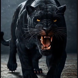 Мир животных | Animal planet