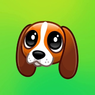 Потеряшка Белгород