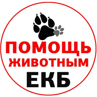 Помощь животным Екб и СО