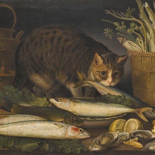 Анималистика 🐾