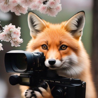 Прогулки по зоопарку