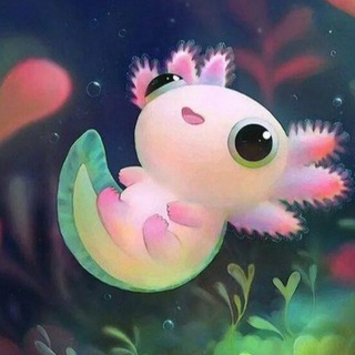 Всё про пушистиков