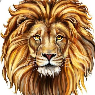 В Мире Животных 🐫