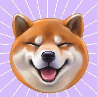 Лапки в деле! 😂