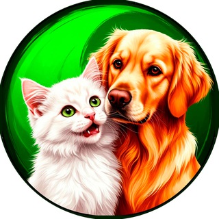 Забавные животные