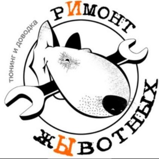 Animalservice Ветеринарная клиника "РИмонт жЫвотных"