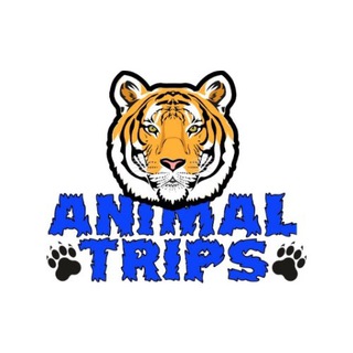 Перевозка животных | Animal Trips