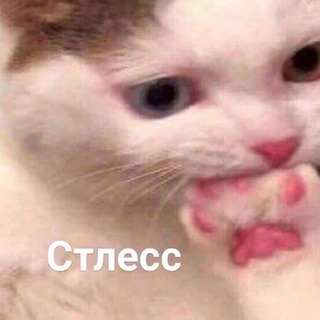 GIFки для важных переговоров