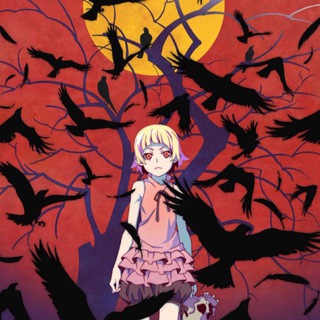 Истории ран