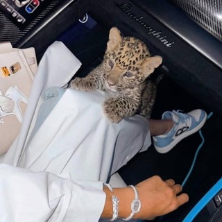 𝓩𝓪𝓡𝓲𝓷👑