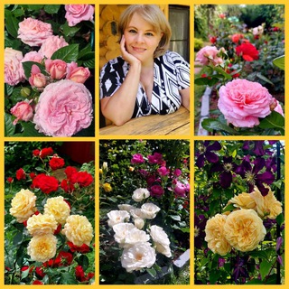 Цветочница Анюта 🌹