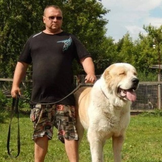 Питомник Аношиных Романа и Любови😍 Место Силы 🙏