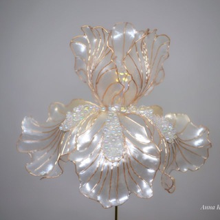 Анна Кашинская ✨