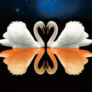 Анонсы Чтений и конференций по гуманной педагогике