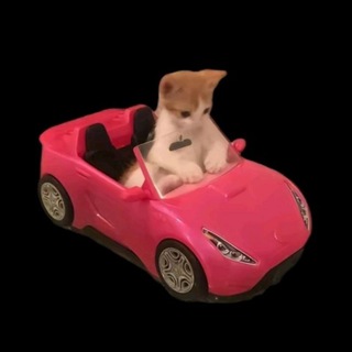 АНТИ ЖИВОДЕРЫ