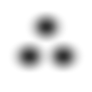 АНТОН ЛИСИН