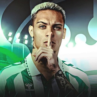 Антони одобряет