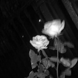 antory | BEATS ARCHIVE