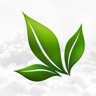 APLGO г.Челябинск