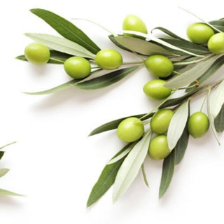 Appetito Linguistico