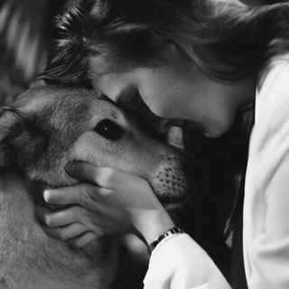 Мир Леонардо