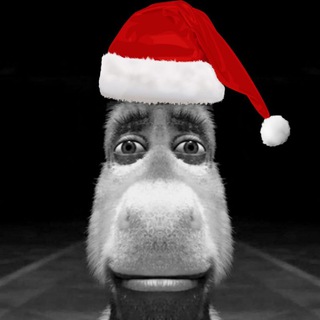 Опросы от Осла