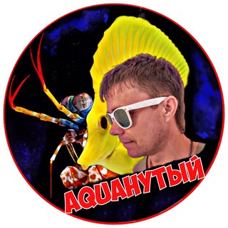 🪸AquaНутый🐠