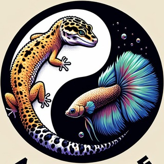 AquaScale - АкваТерра Студия