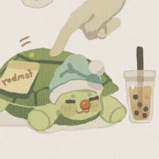 Черепашье болото | QSUMMERCY