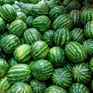 🍉👑Арбузное Царство👑🍉