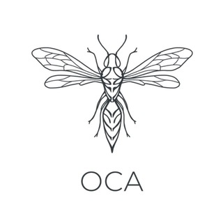 Дневник архитектора