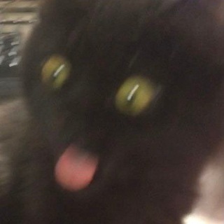 архивы минувших дней