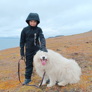 Мы и Арктика🐋🦭