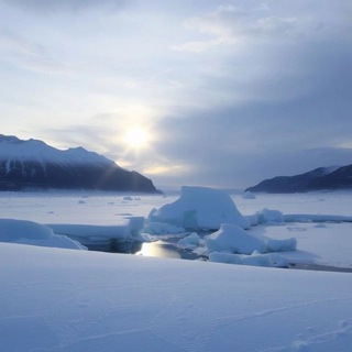 Жизнь. Традиции. Арктика